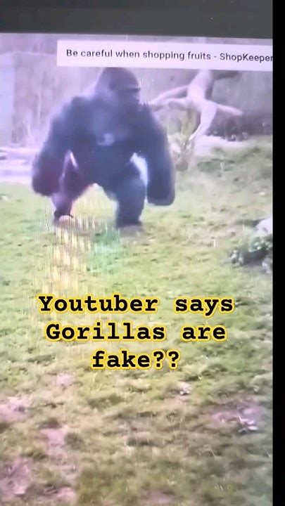 gorillas are fake